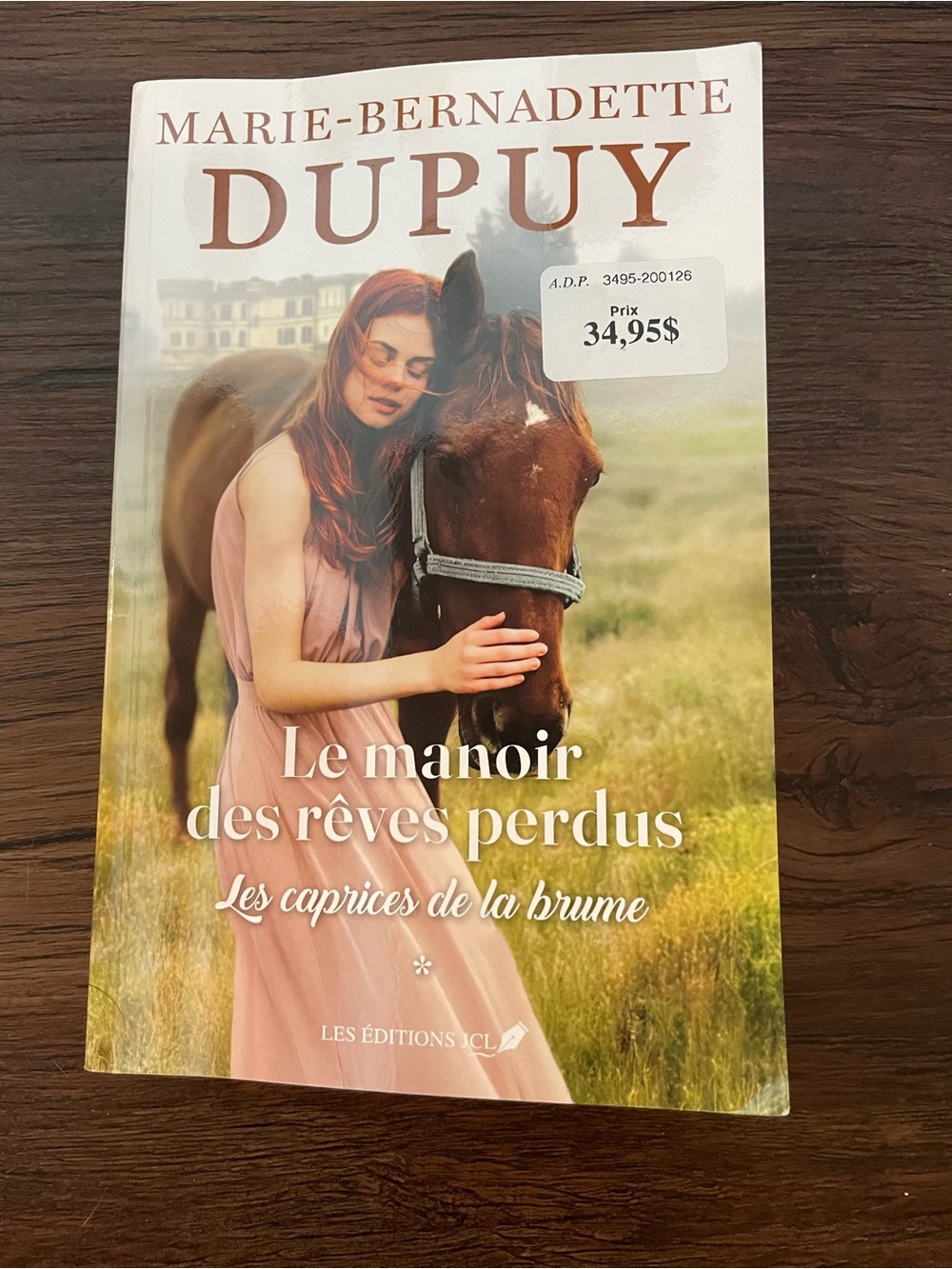- Le manoir des rêves perdus